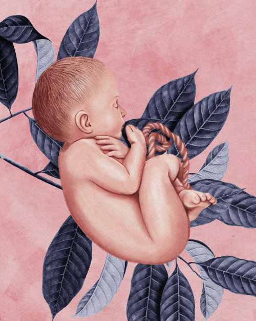 Ilustración de bebé en el útero