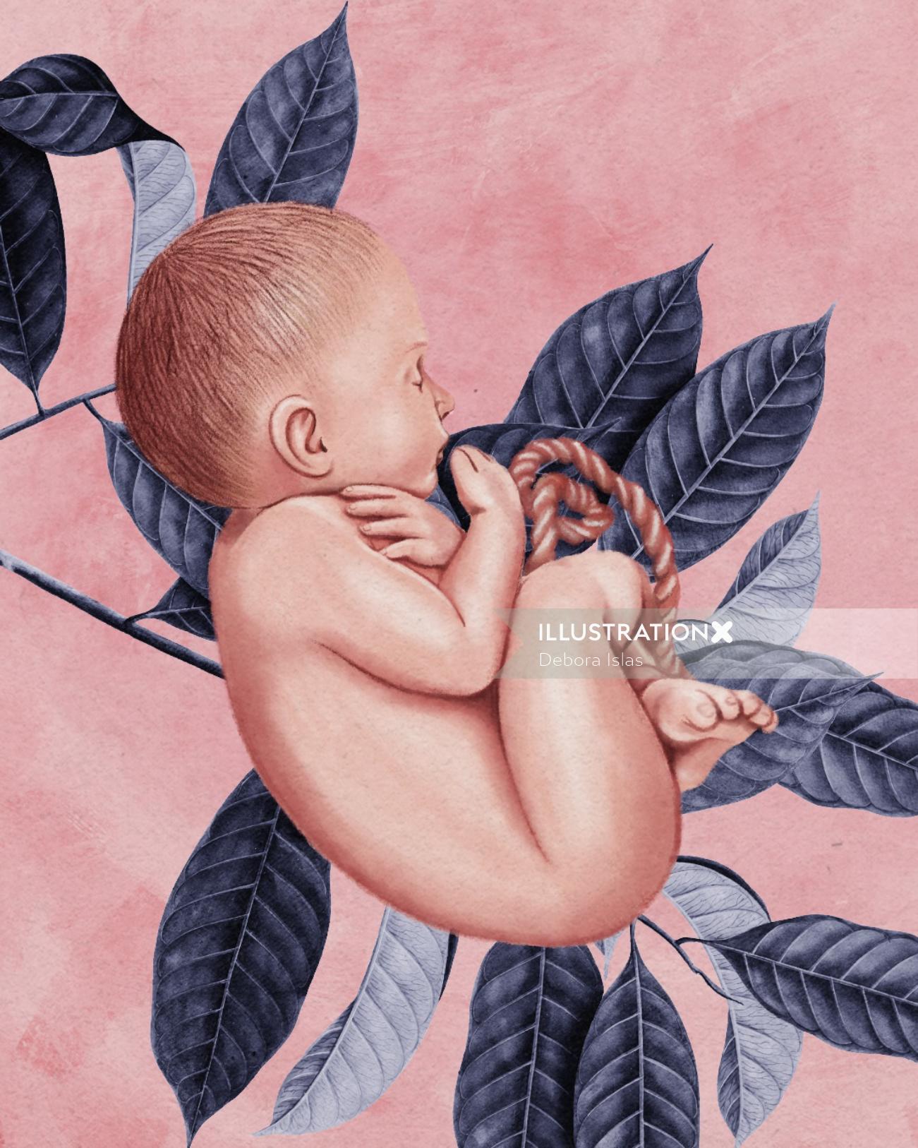 Illustration of baby in womb