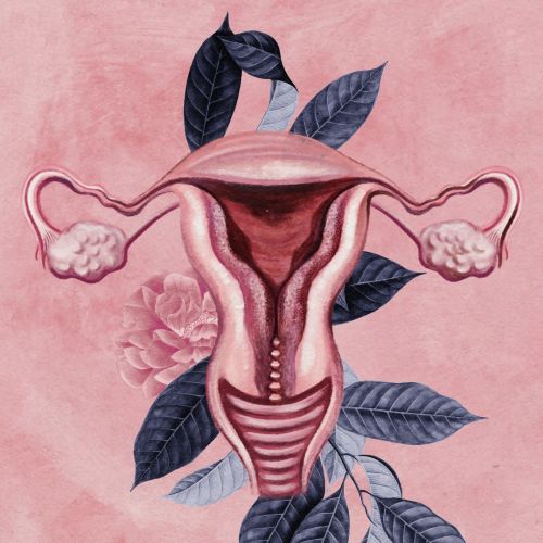 Uterus contemporary illustration