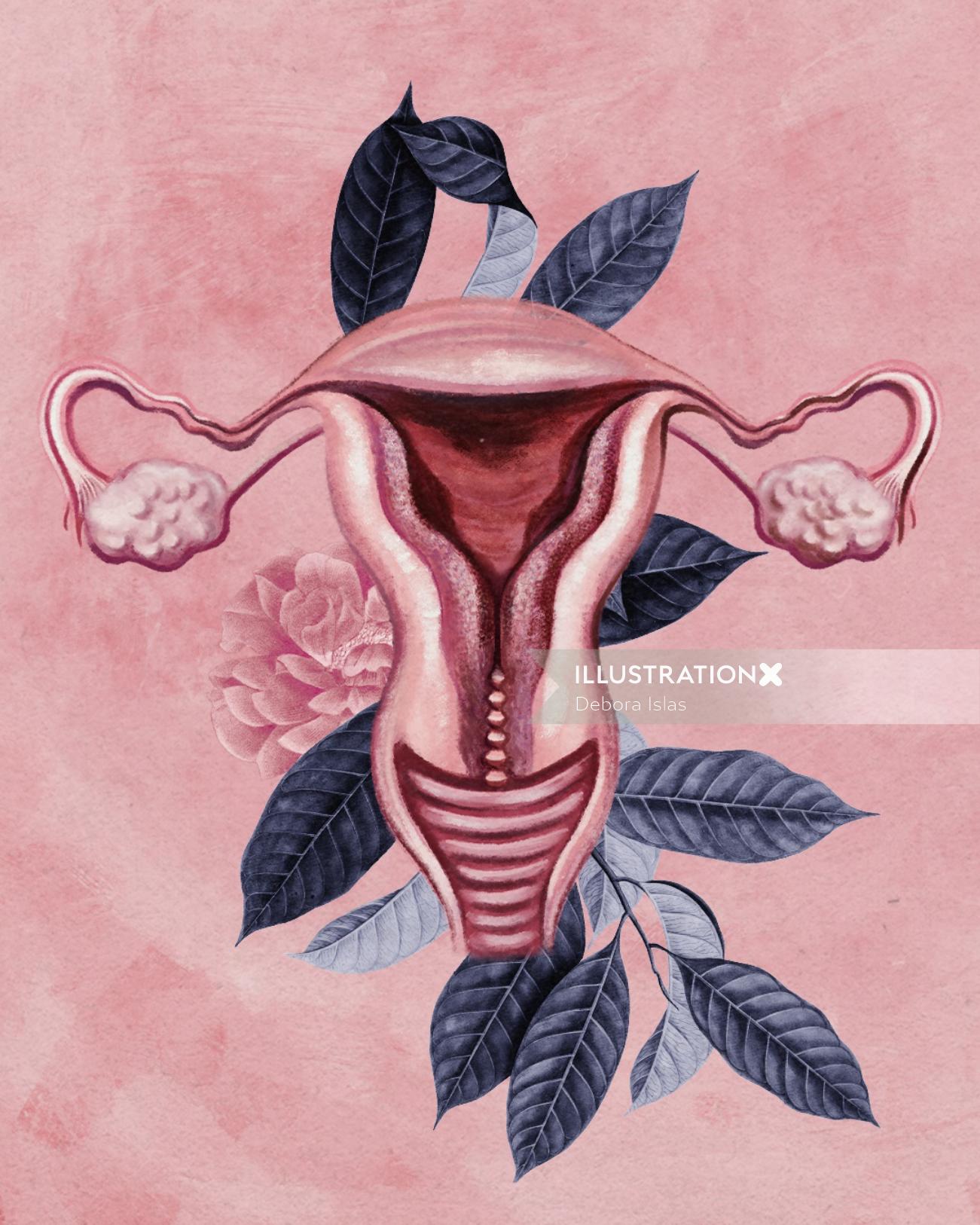 Uterus contemporary illustration