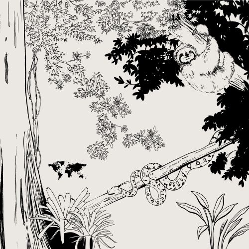 Monkey hanging from a tree branch in a black and white illustration.