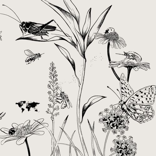 Detailed black and white drawing of insects and flowering plants