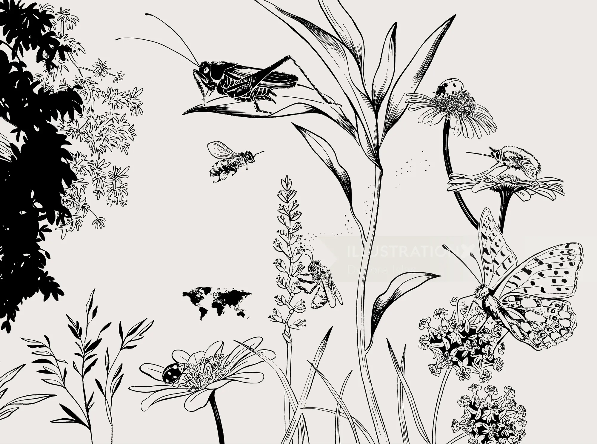 Detailed black and white drawing of insects and flowering plants
