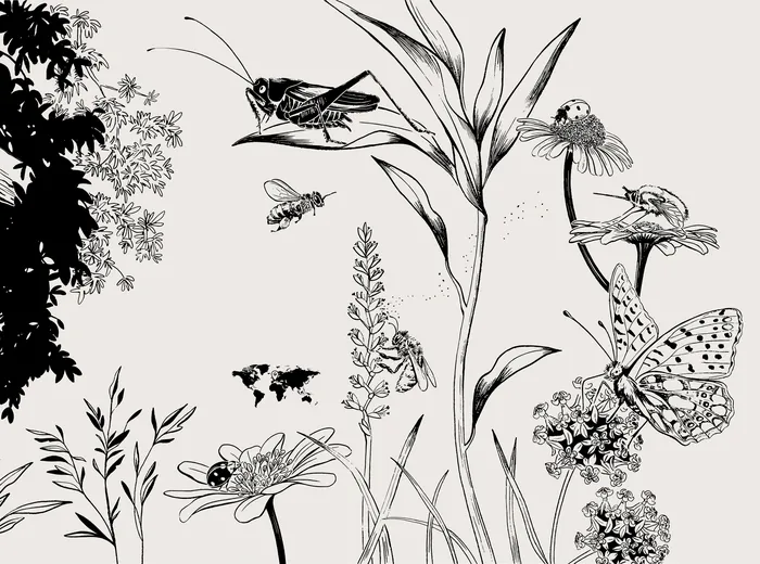Detailed black and white drawing of insects and flowering plants