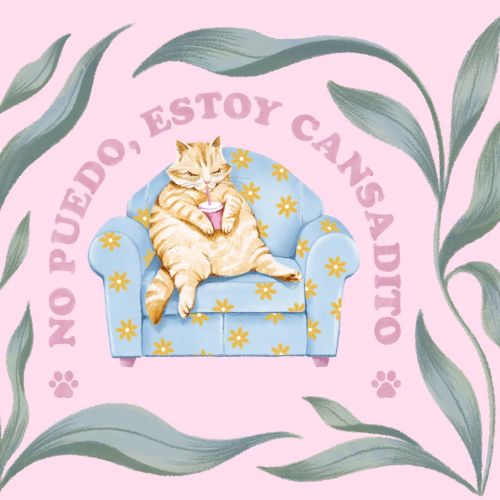 Two cute cats resting with Portuguese text about mood and tiredness