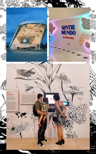 Couple and child viewing butterfly illustrations inside a modern museum