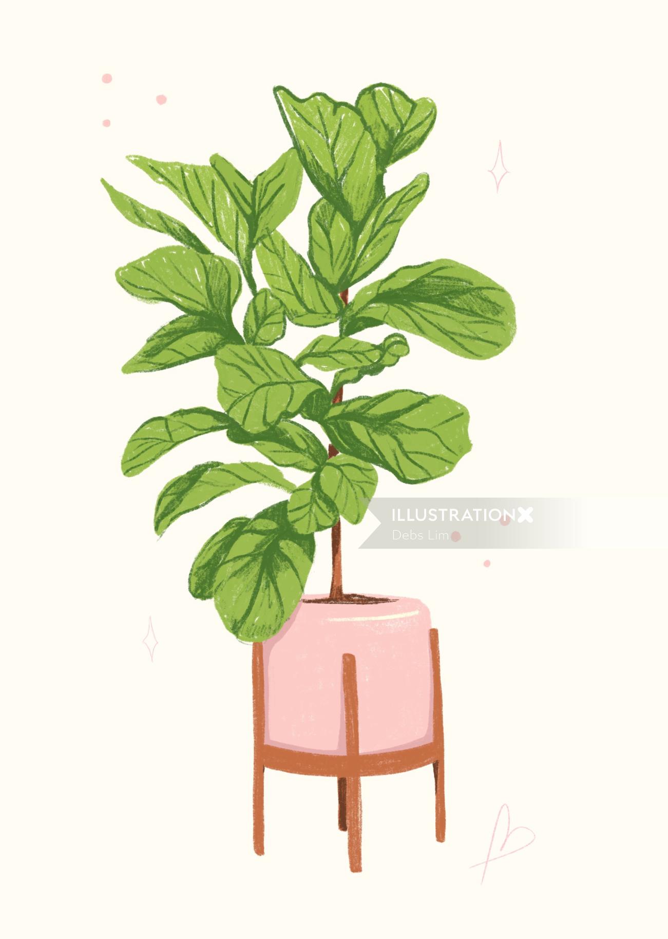 Fiddle Leaf Fig Illustration by Debs Lim