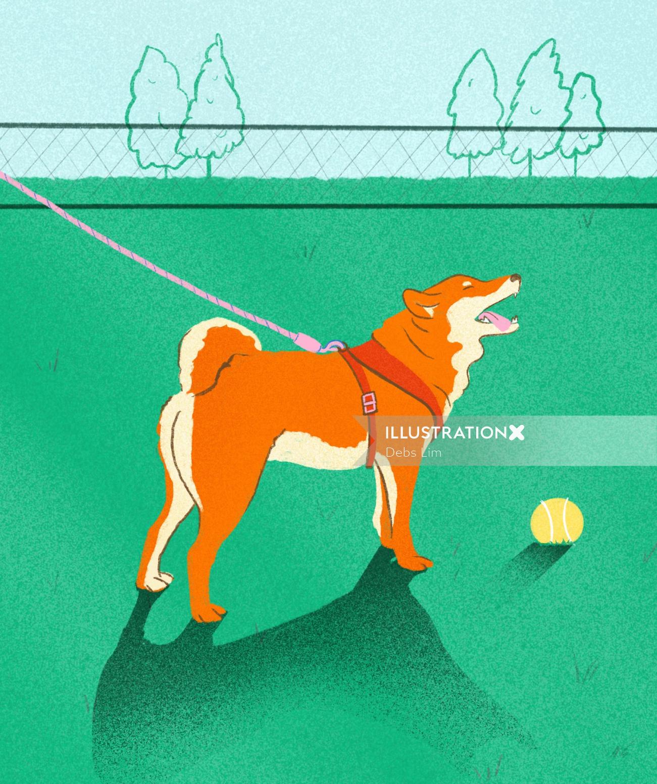 ボールを持つ動物の犬