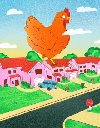 Oversized chicken standing over suburban houses and street, illustration by Debs Lim
