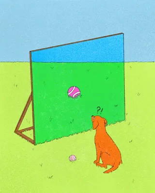 Dog looking confused at a transparent wall with balls nearby by Debs Lim