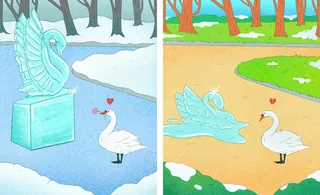 Swans interacting with ice sculptures in winter and spring by Debs Lim