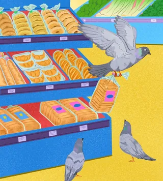 Pigeons taking bread from shelves in a food store