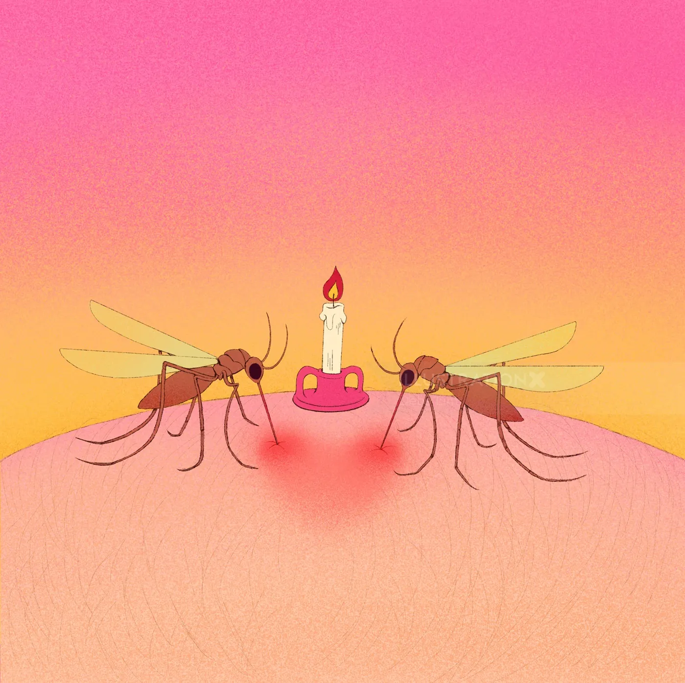 Two mosquitoes attracted to a lit candle on skin at sunset