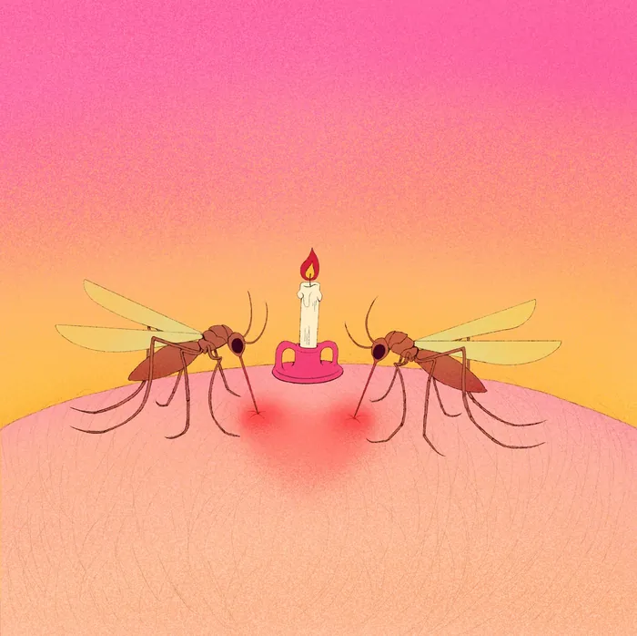 Two mosquitoes attracted to a lit candle on skin at sunset