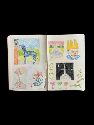 Open sketchbook with colorful drawings including animals and plants