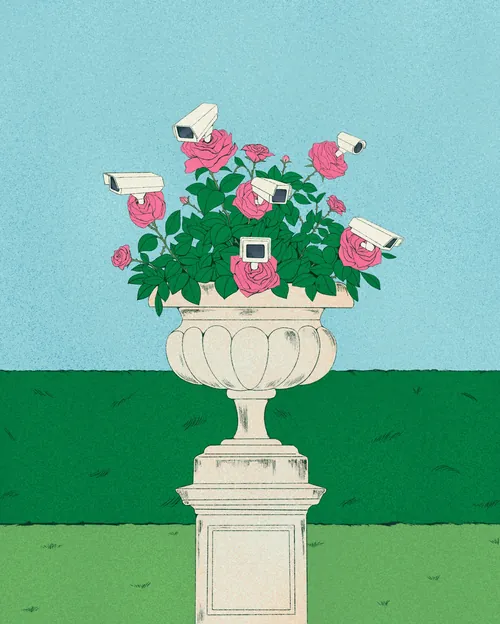 Rose bush with pink flowers and white security cameras by Debs Lim