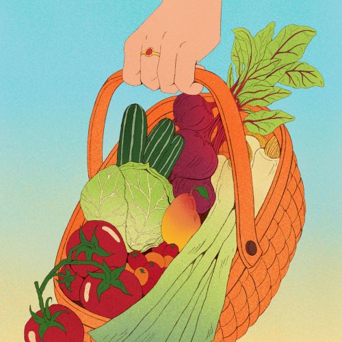 Hand holding basket with tomatoes, cabbage, beets, and greens by Debs Lim