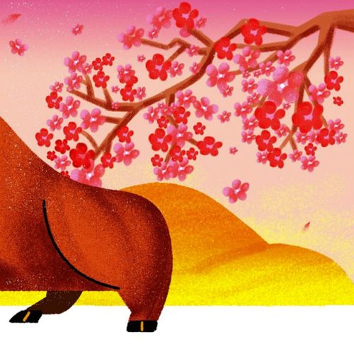 Decue Wu Animals Illustrator from USA