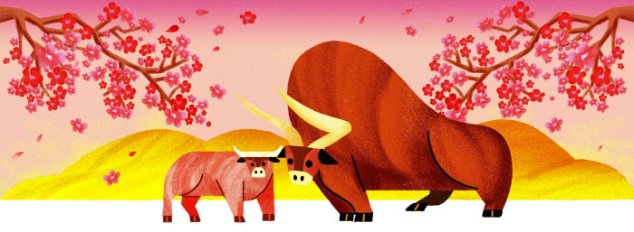 Graphic creation of a Ox for Facebook