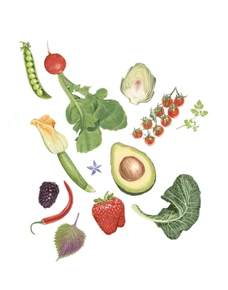 Illustrated collage of various fruits and vegetables on white background