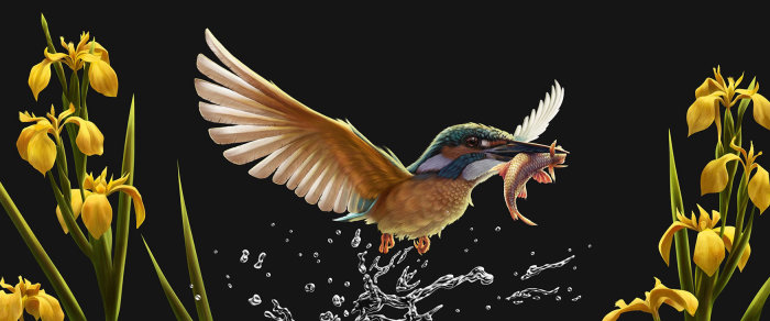 Kingfisher realistic painting