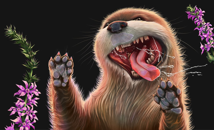 Digital artwork of a Sea Otter