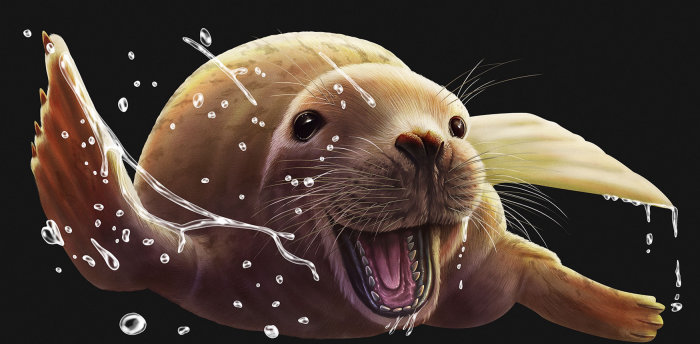 Striking portrait of Baikal Seal