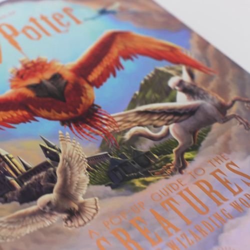 Pop-Up guide: Magical creatures from Harry Potter films