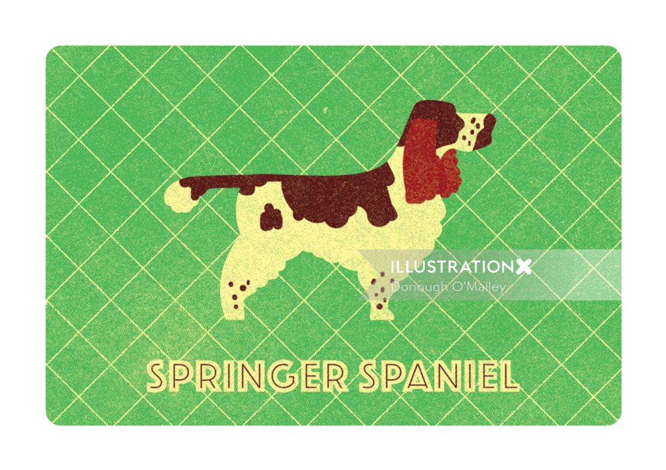 Springer Spaniel Greeting Card
