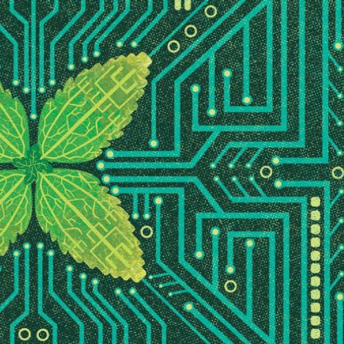 Leaf on a circuit board
