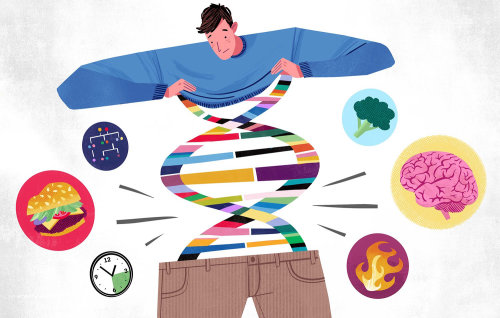 Illustration pour le Washington Post sur la relation entre l&#39;obésité et la génétique.