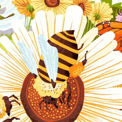 Conceptual illustration of Pollinators
