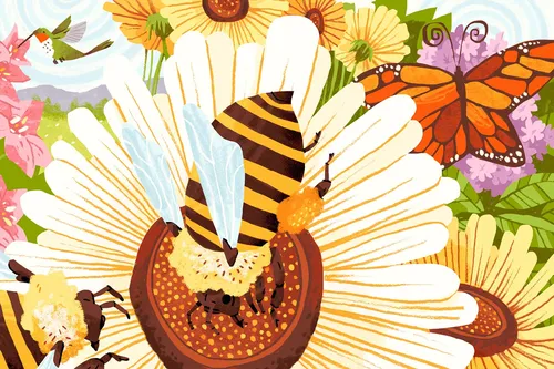 Bestäuber wie Bienen, Schmetterlinge und Kolibris auf leuchtenden Blüten von Drew Bardana