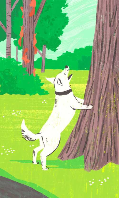 Animal illustration of happy dog