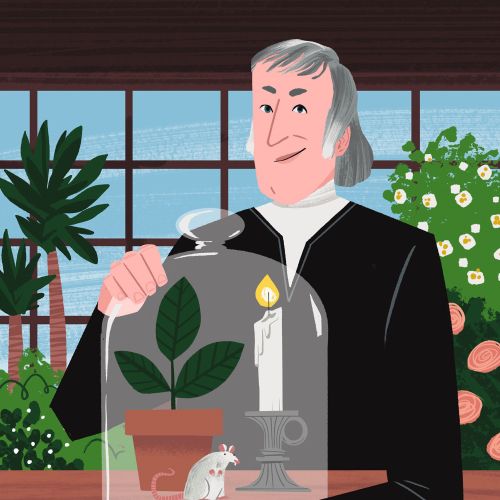 Joseph Priestley Photosynthesis Experiment