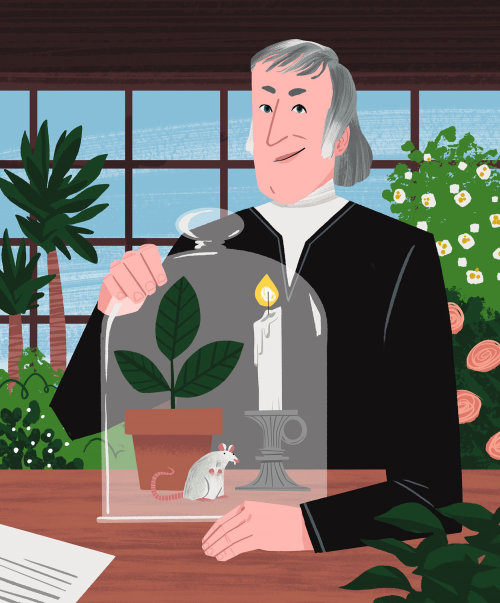 Expérience de photosynthèse de Joseph Priestley