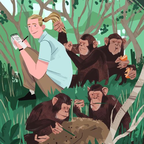 people and animals Jane Goodall and Chimpanzees
