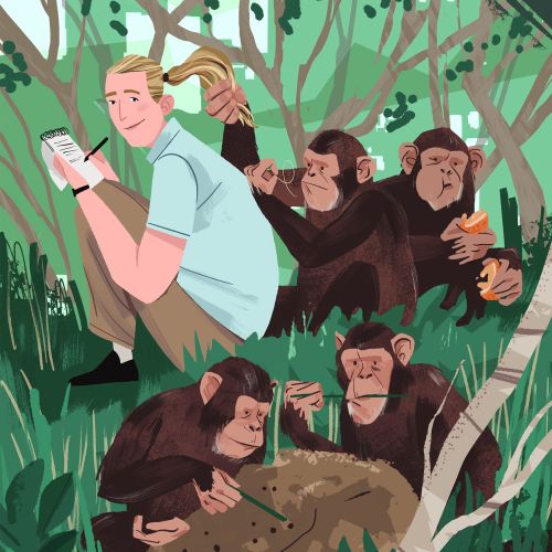 Illustration of Jane Goodall with chimpanzees in the forest by Drew Bardana