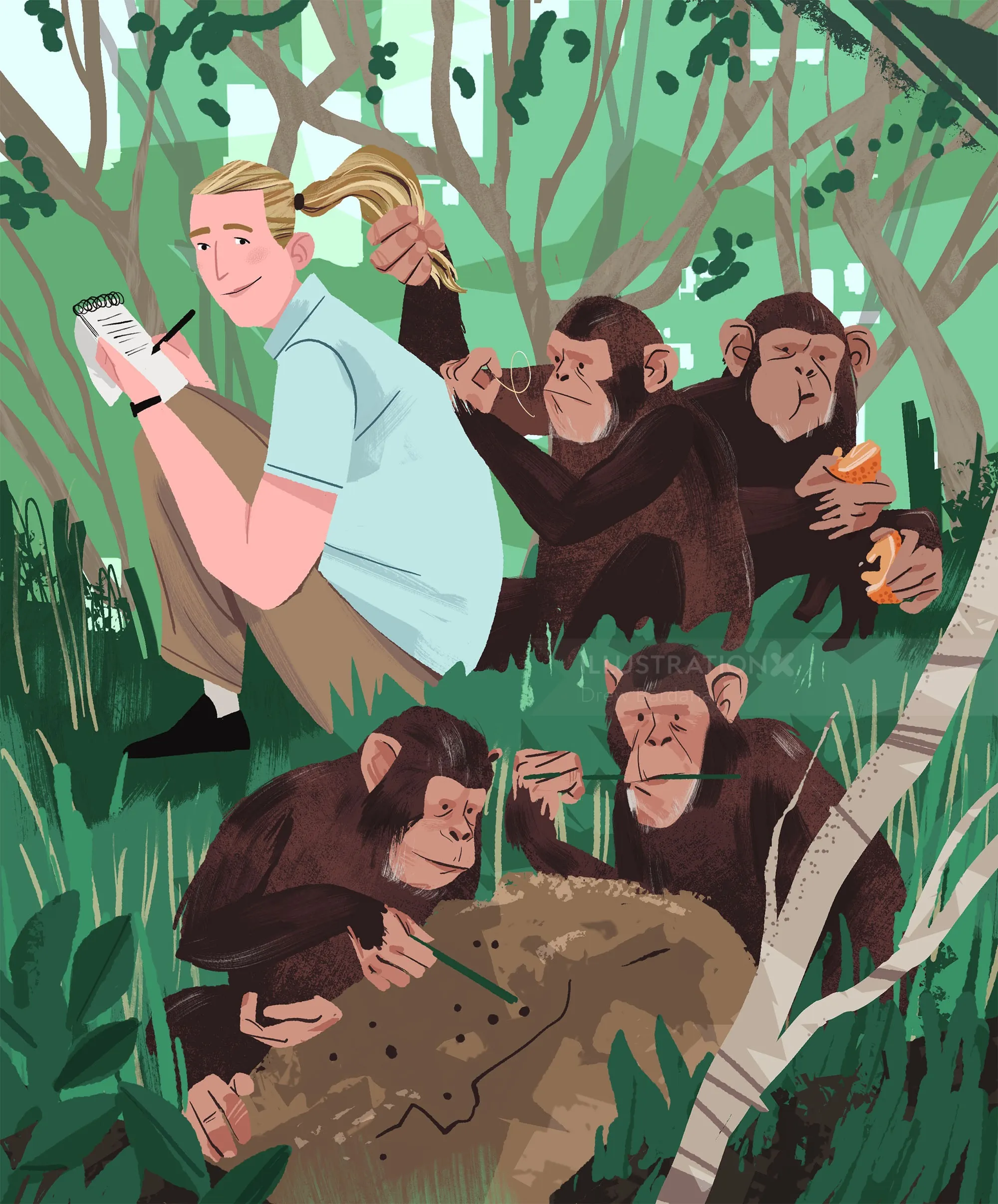 Ilustración de Jane Goodall con chimpancés en el bosque por Drew Bardana