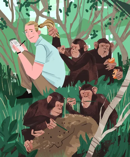 Illustration von Jane Goodall mit Schimpansen im Wald von Drew Bardana