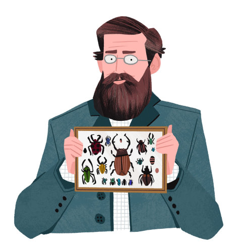 Personnes Alfred Russel et sa collection Beetle