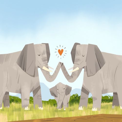 Animals Elephant Parents
