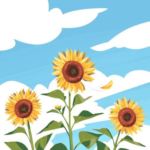 Nature Three sunflowers against blue sky