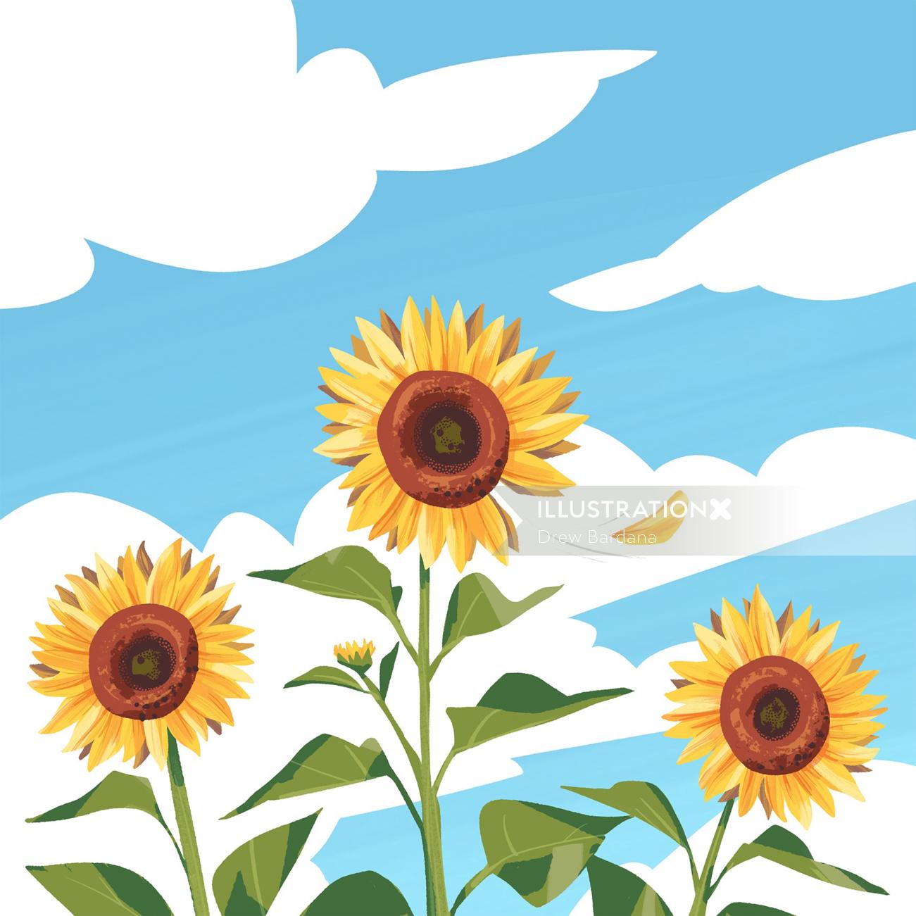 Nature Three sunflowers against blue sky
