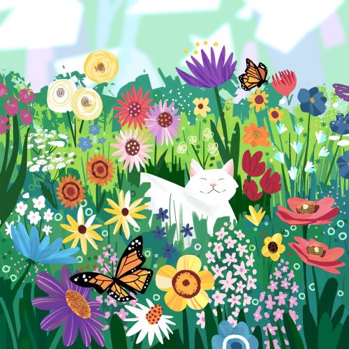 Animals Cat in Wildflowers
