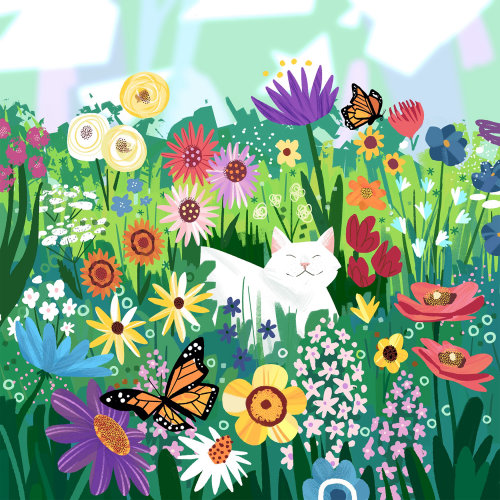 Animaux Chat dans les fleurs sauvages