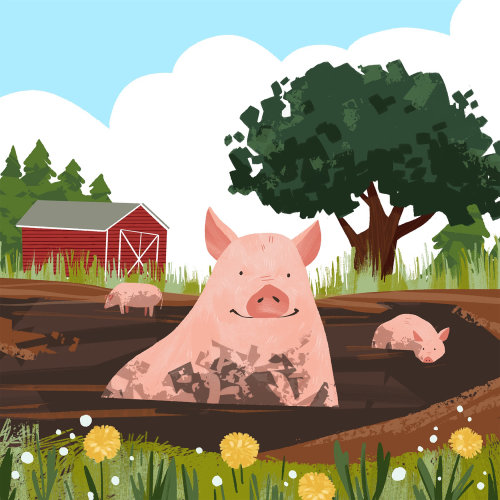 Animals Pigs in the Mud