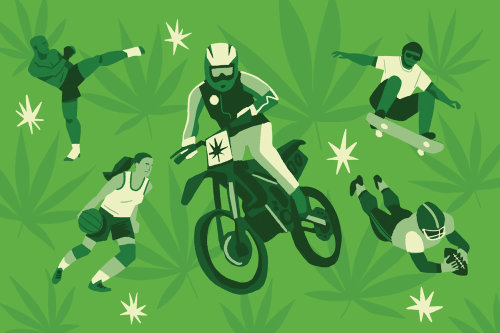 Cannabis & Professional Sports