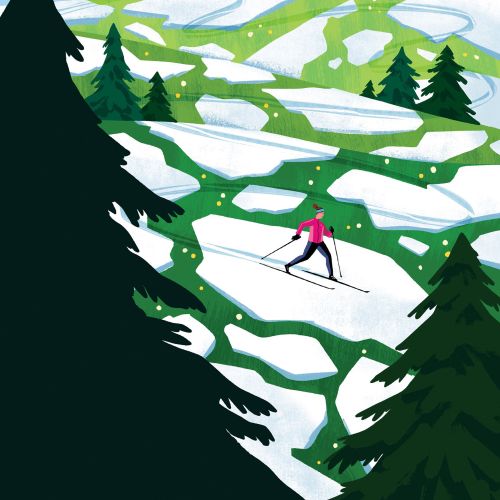 Skier in sunny landscape with trees and snow