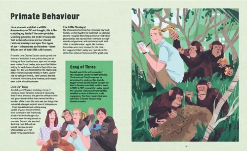 Le livre des découvertes : le comportement des primates